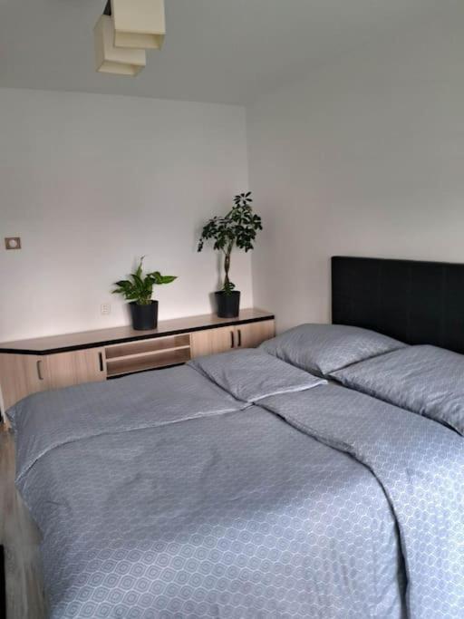 Apartament Na 4 Pietrze Neumarkt Exterior foto