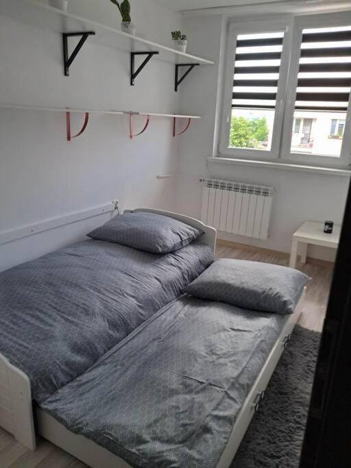 Apartament Na 4 Pietrze Neumarkt Exterior foto